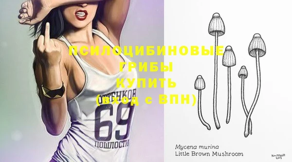 PSILOCYBIN Алексеевка
