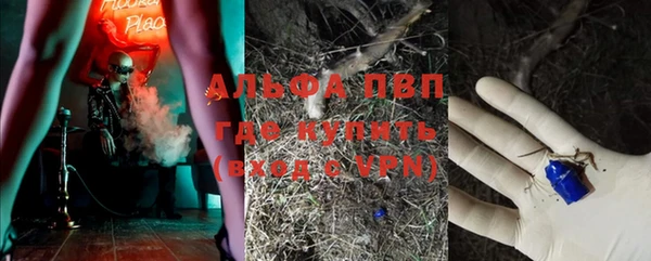 PSILOCYBIN Алексеевка